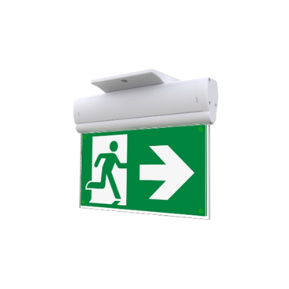 Ecoxit Edge - Image 6